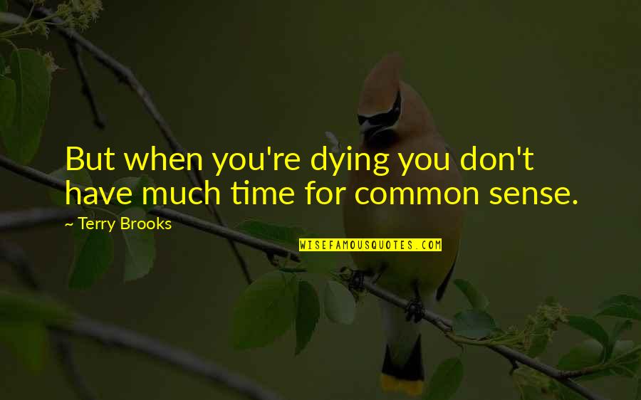 Abramoviciaus Quotes By Terry Brooks: But when you're dying you don't have much