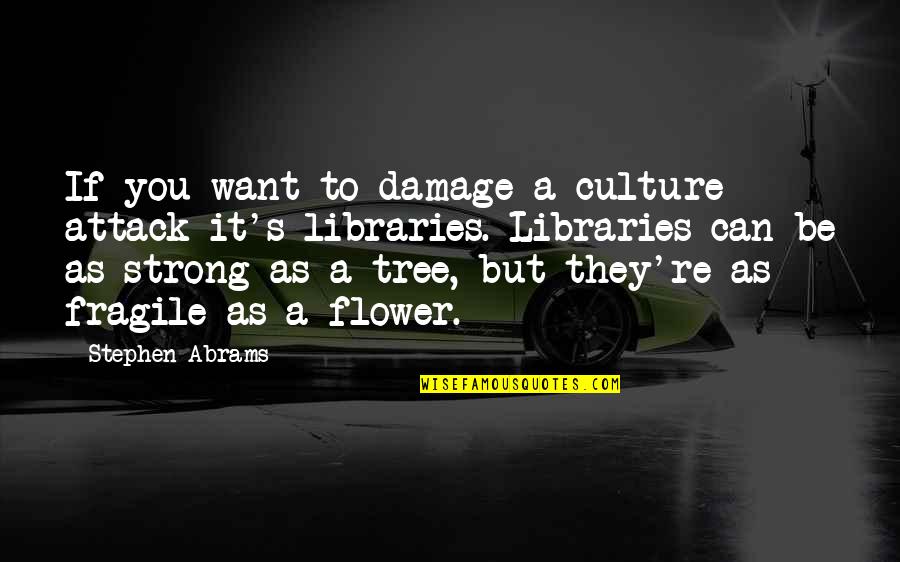 Abrams Quotes By Stephen Abrams: If you want to damage a culture -