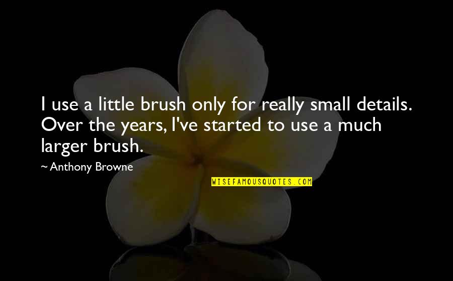 Abrao Quotes By Anthony Browne: I use a little brush only for really