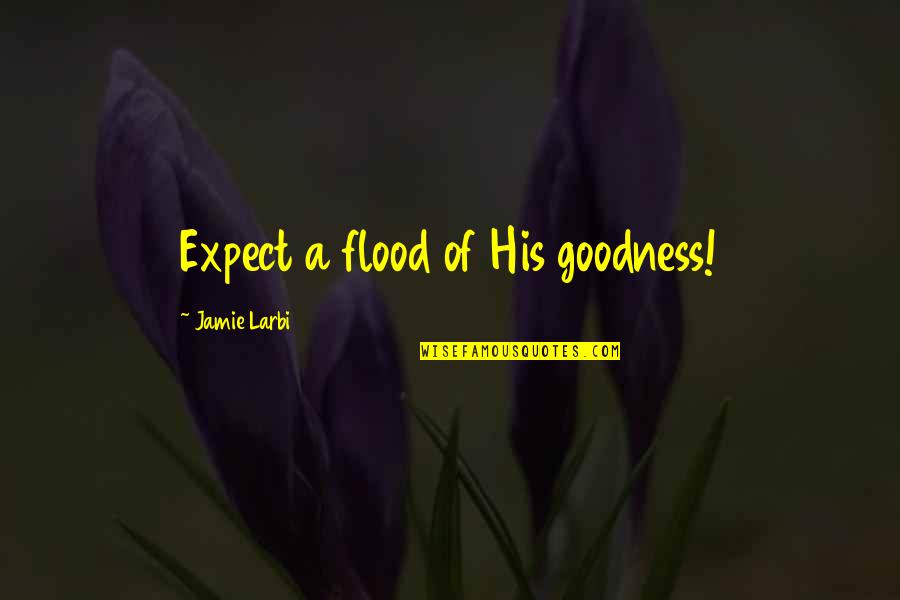 Abrego Self Quotes By Jamie Larbi: Expect a flood of His goodness!