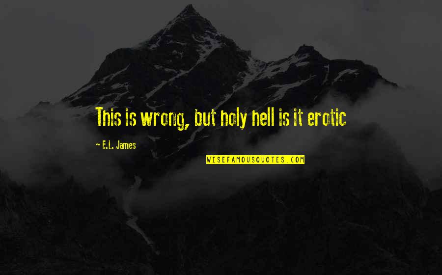 Abriba War Quotes By E.L. James: This is wrong, but holy hell is it