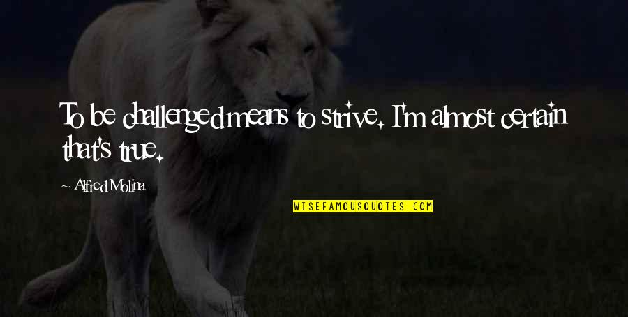 Abrigados Quotes By Alfred Molina: To be challenged means to strive. I'm almost