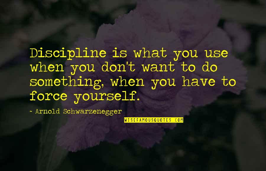 Abrilada Quotes By Arnold Schwarzenegger: Discipline is what you use when you don't Abrilada Quotes By Arnold Schwarzenegger: Discipline is what you use when you don't