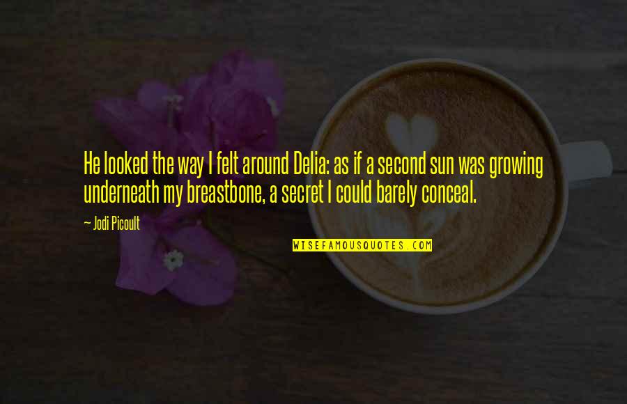 Abrilada Quotes By Jodi Picoult: He looked the way I felt around Delia: Abrilada Quotes By Jodi Picoult: He looked the way I felt around Delia: