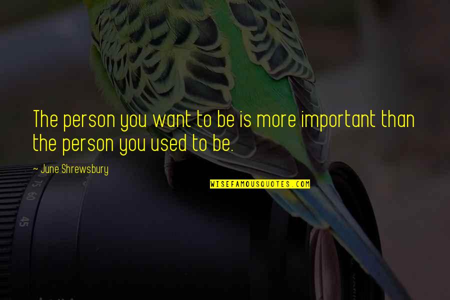Abromson Community Quotes By June Shrewsbury: The person you want to be is more
