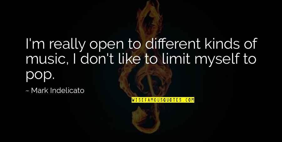 Abrupt Quotes By Mark Indelicato: I'm really open to different kinds of music,