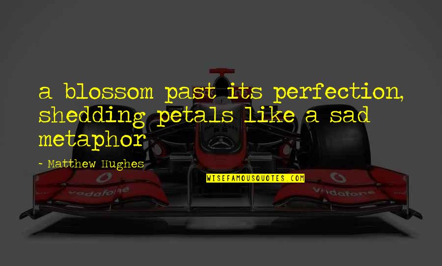 Abscondite Quotes By Matthew Hughes: a blossom past its perfection, shedding petals like