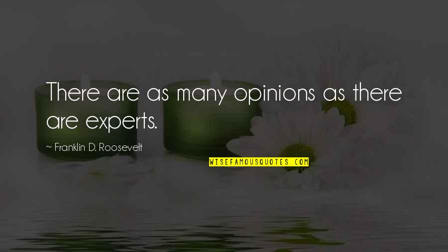 Absent Parents Quotes By Franklin D. Roosevelt: There are as many opinions as there are