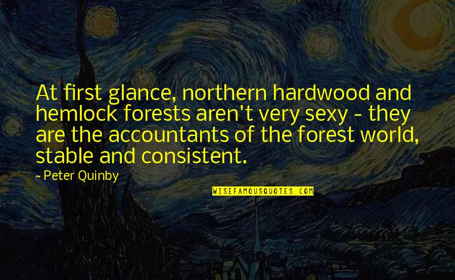 Absently Syn Quotes By Peter Quinby: At first glance, northern hardwood and hemlock forests