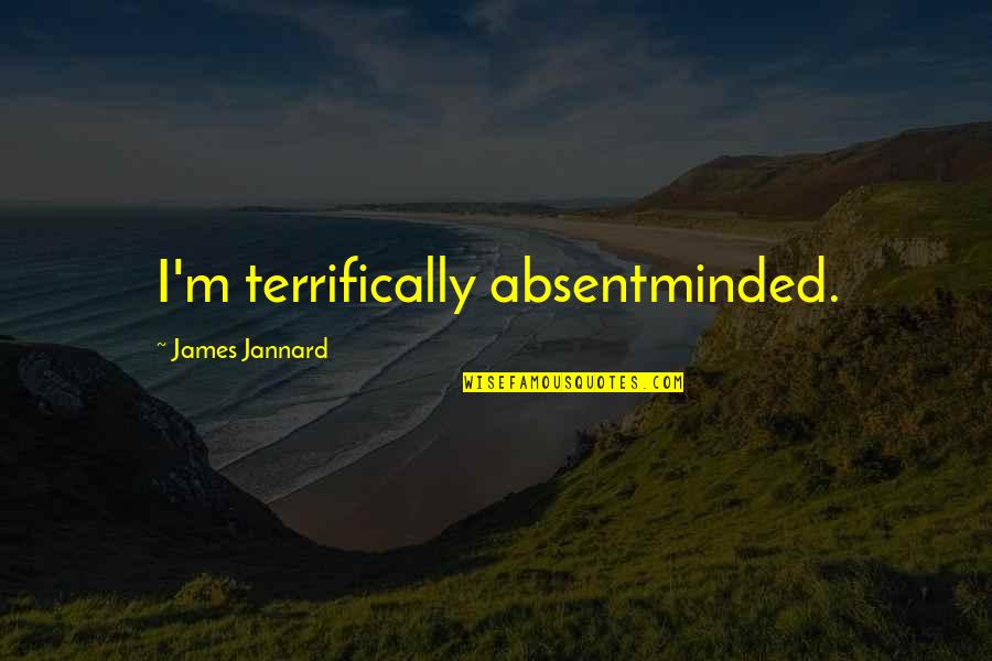 Absentminded Quotes By James Jannard: I'm terrifically absentminded.