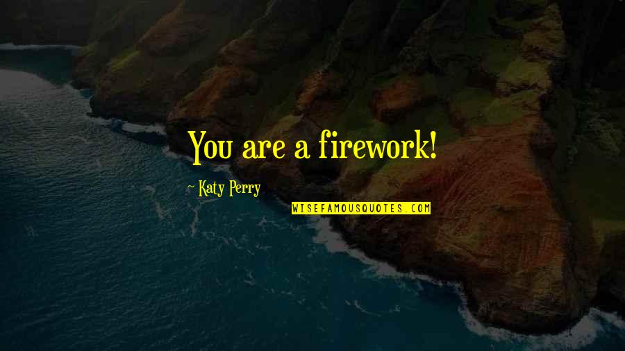 Absicht In German Quotes By Katy Perry: You are a firework!