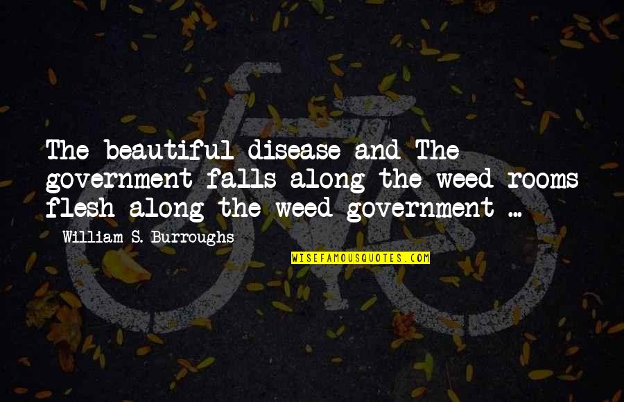 Absolut Quotes By William S. Burroughs: The beautiful disease and The government falls along