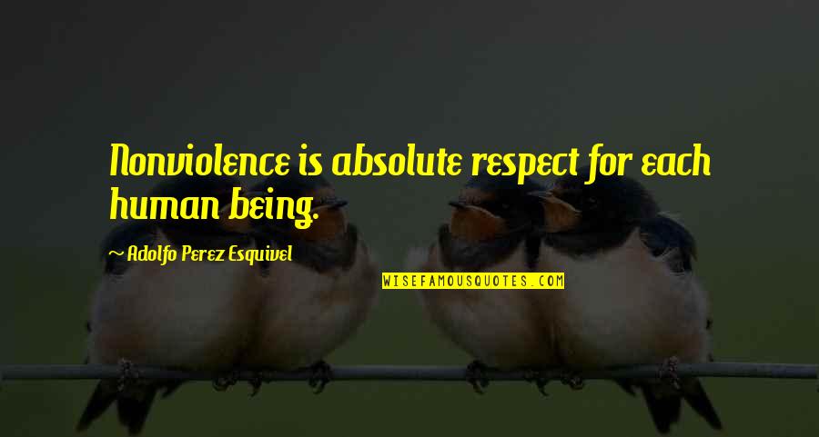 Absolute Peace Quotes By Adolfo Perez Esquivel: Nonviolence is absolute respect for each human being.