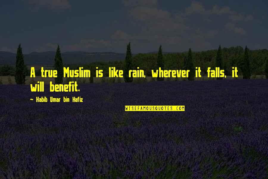 Absolutely Almost Quotes By Habib Umar Bin Hafiz: A true Muslim is like rain, wherever it