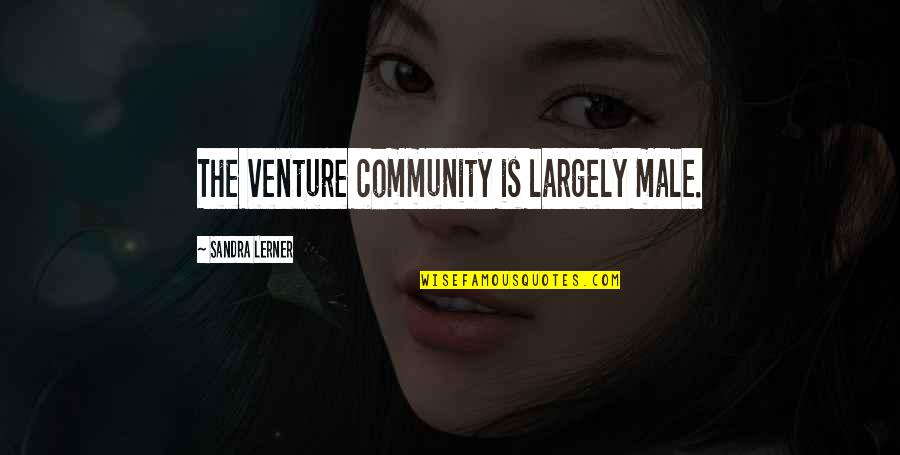 Absolutely Funny Quotes By Sandra Lerner: The venture community is largely male.