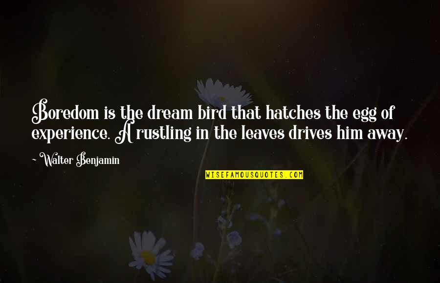 Absolutely Stupid Quotes By Walter Benjamin: Boredom is the dream bird that hatches the Absolutely Stupid Quotes By Walter Benjamin: Boredom is the dream bird that hatches the