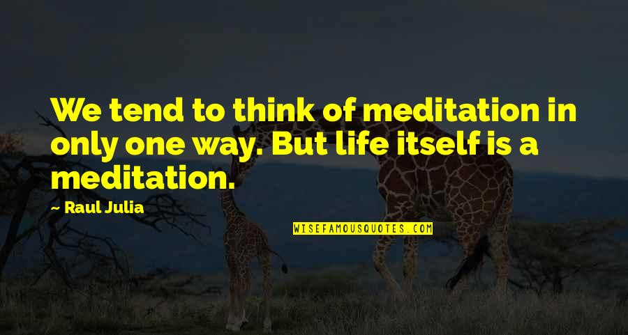 Absorb Mind Quotes By Raul Julia: We tend to think of meditation in only