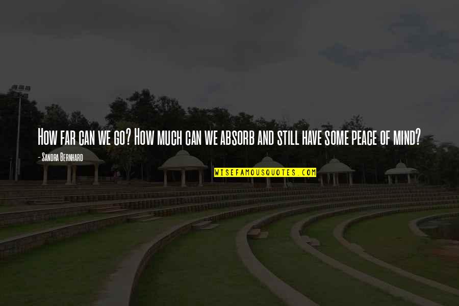 Absorb Mind Quotes By Sandra Bernhard: How far can we go? How much can
