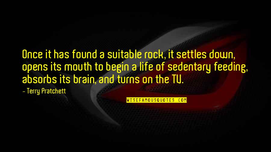 Absorbs Quotes By Terry Pratchett: Once it has found a suitable rock, it