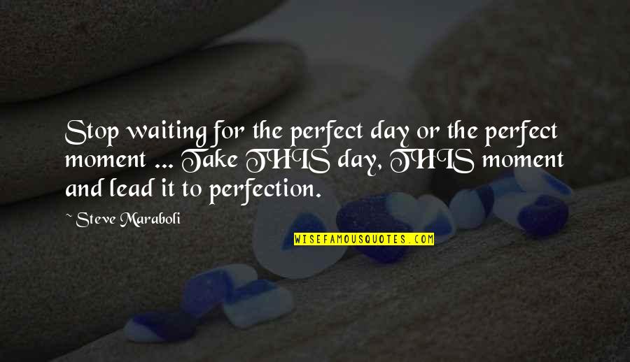 Absorving Quotes By Steve Maraboli: Stop waiting for the perfect day or the