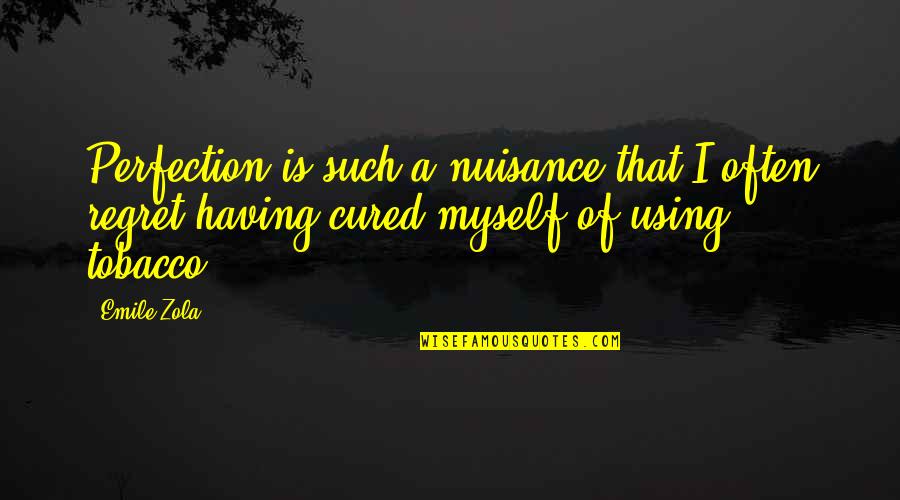 Abstruse Quotes By Emile Zola: Perfection is such a nuisance that I often