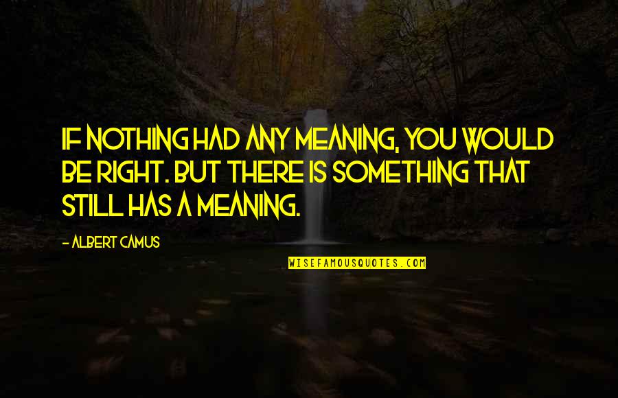 Absurd Life Quotes By Albert Camus: If nothing had any meaning, you would be