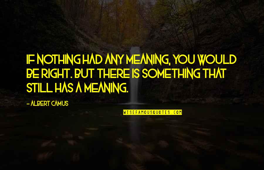 Absurdism Quotes By Albert Camus: If nothing had any meaning, you would be