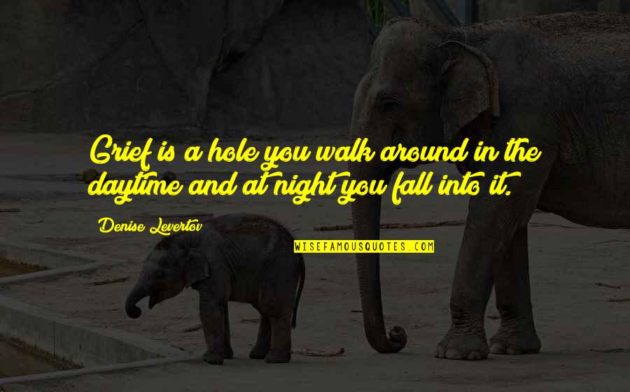 Absurdlyawesome Quotes By Denise Levertov: Grief is a hole you walk around in