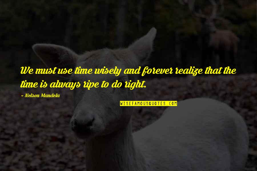 Absurdo Sinonimo Quotes By Nelson Mandela: We must use time wisely and forever realize Absurdo Sinonimo Quotes By Nelson Mandela: We must use time wisely and forever realize