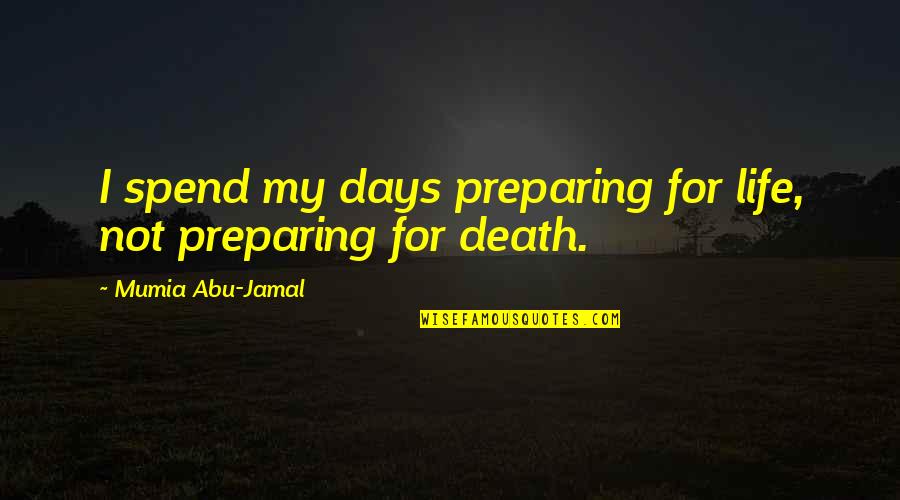 Abu Jamal Quotes By Mumia Abu-Jamal: I spend my days preparing for life, not
