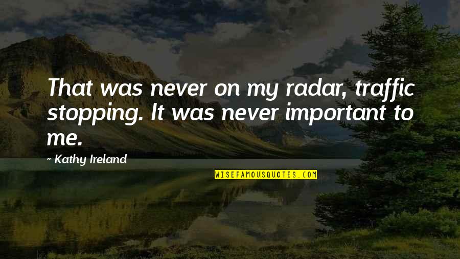 Abu Nazir Quotes By Kathy Ireland: That was never on my radar, traffic stopping.