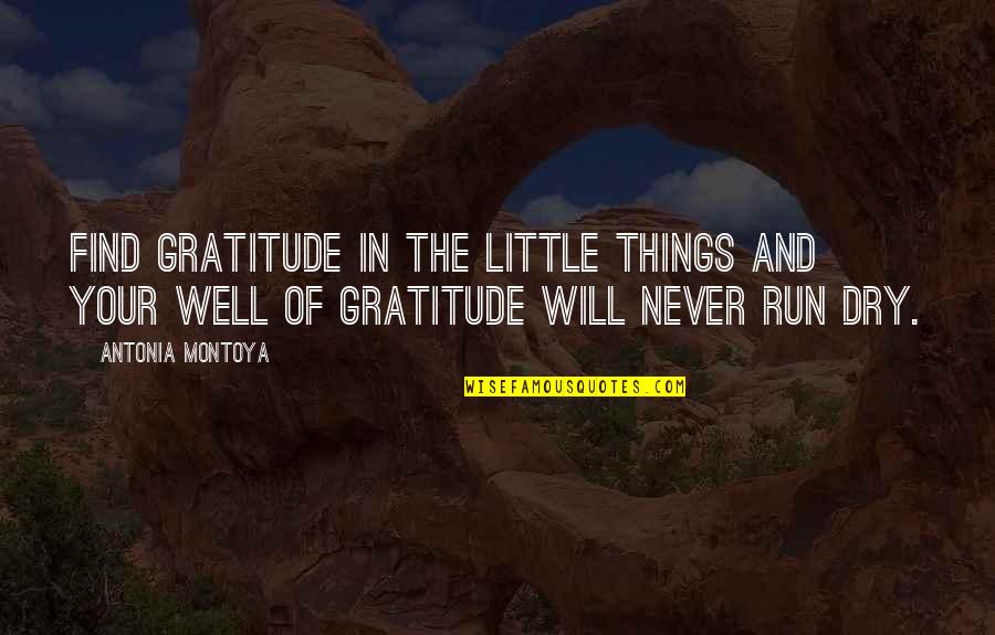 Abundance And Gratitude Quotes By Antonia Montoya: Find gratitude in the little things and your