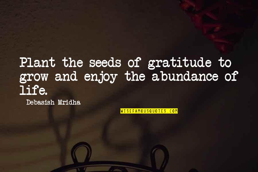 Abundance Of Life Quotes By Debasish Mridha: Plant the seeds of gratitude to grow and Abundance Of Life Quotes By Debasish Mridha: Plant the seeds of gratitude to grow and