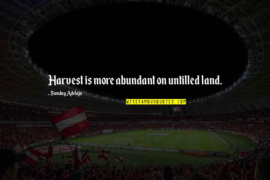Abundant Harvest Quotes By Sunday Adelaja: Harvest is more abundant on untilled land.