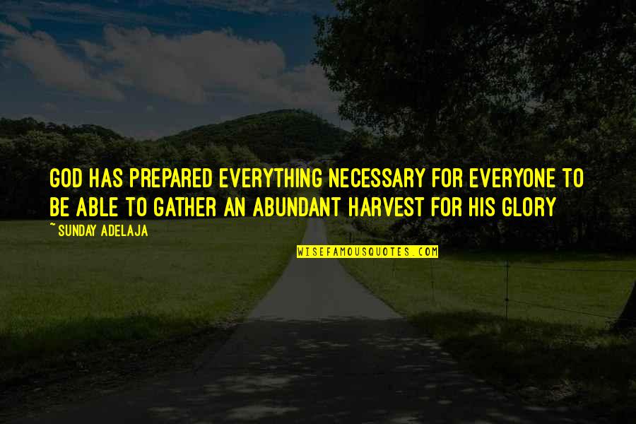 Abundant Harvest Quotes By Sunday Adelaja: God has prepared everything necessary for everyone to