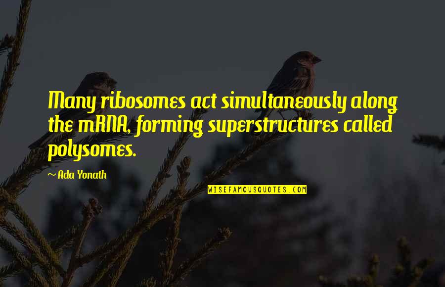 Abusive Ex Husband Quotes By Ada Yonath: Many ribosomes act simultaneously along the mRNA, forming