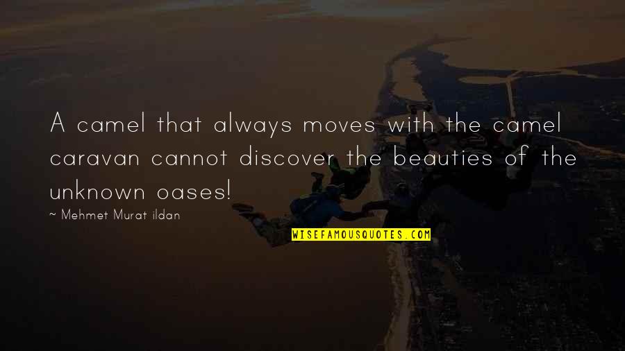 Abuzar Khan Quotes By Mehmet Murat Ildan: A camel that always moves with the camel Abuzar Khan Quotes By Mehmet Murat Ildan: A camel that always moves with the camel