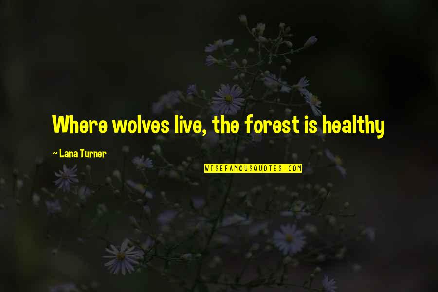 Abychurches Quotes By Lana Turner: Where wolves live, the forest is healthy Abychurches Quotes By Lana Turner: Where wolves live, the forest is healthy