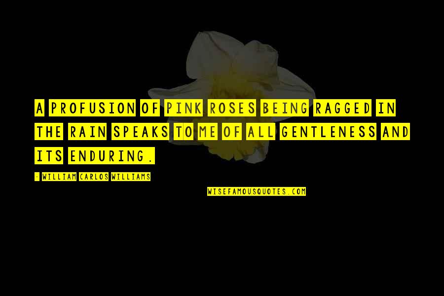 Ac Installation Quotes By William Carlos Williams: A profusion of pink roses being ragged in Ac Installation Quotes By William Carlos Williams: A profusion of pink roses being ragged in