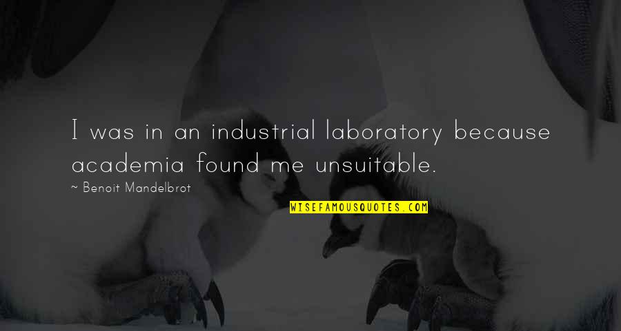 Academia's Quotes By Benoit Mandelbrot: I was in an industrial laboratory because academia