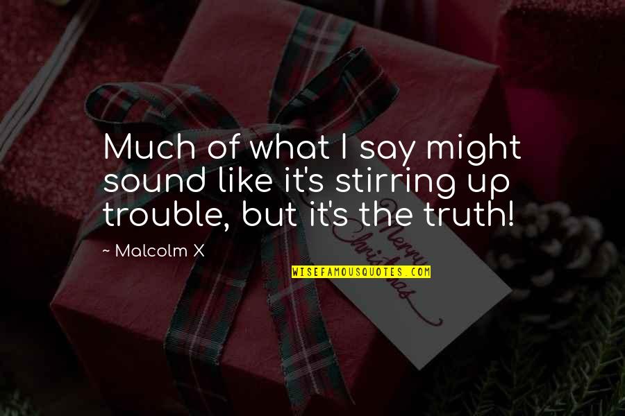 Academicians Synonyms Quotes By Malcolm X: Much of what I say might sound like
