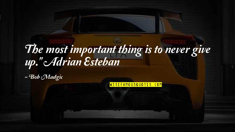 Academicos Online Quotes By Bob Madgic: The most important thing is to never give