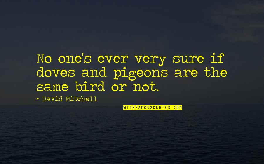 Acaletics App Quotes By David Mitchell: No one's ever very sure if doves and