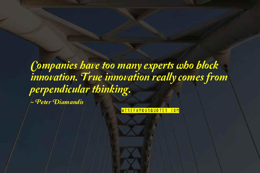 Acampamento Ferias Quotes By Peter Diamandis: Companies have too many experts who block innovation.