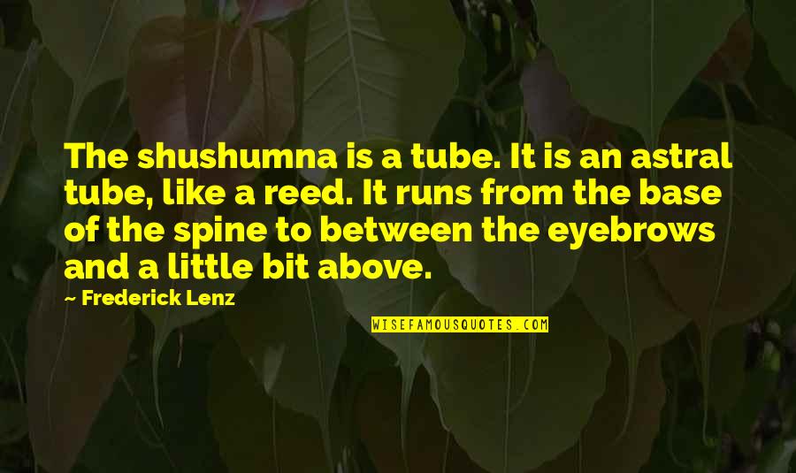Accede Pronunciation Quotes By Frederick Lenz: The shushumna is a tube. It is an