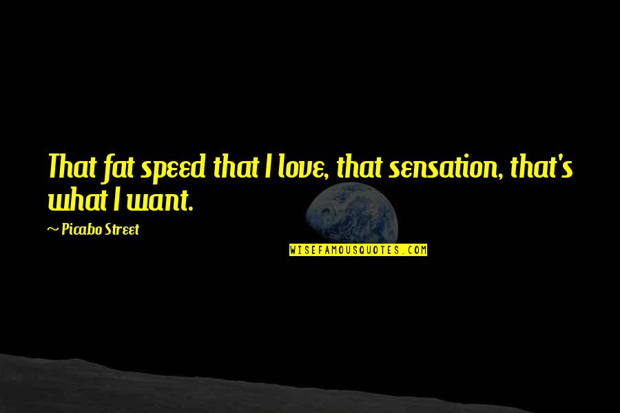 Accelereted Quotes By Picabo Street: That fat speed that I love, that sensation, Accelereted Quotes By Picabo Street: That fat speed that I love, that sensation,