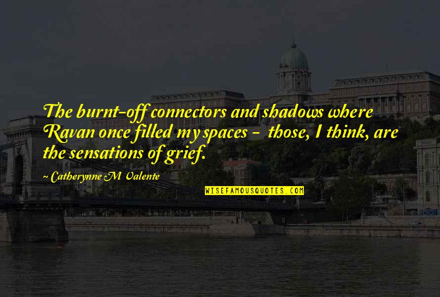 Accelerometer Quotes By Catherynne M Valente: The burnt-off connectors and shadows where Ravan once