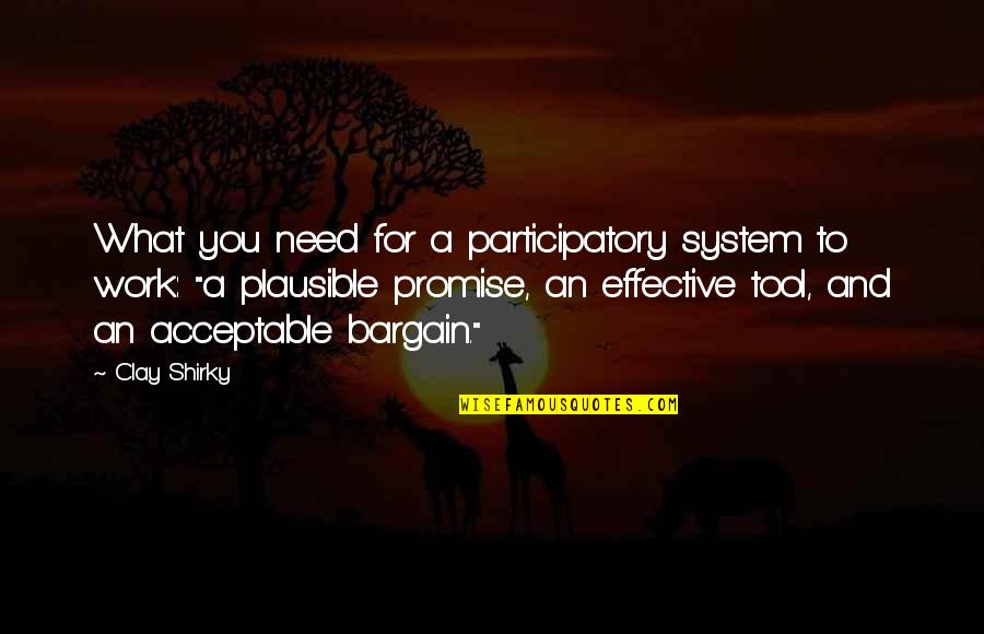 Acceptable Quotes By Clay Shirky: What you need for a participatory system to