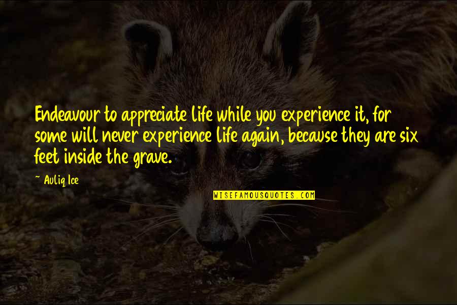 Acceptance And Happiness Quotes By Auliq Ice: Endeavour to appreciate life while you experience it,