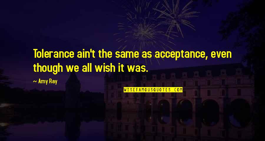 Acceptance And Tolerance Quotes By Amy Ray: Tolerance ain't the same as acceptance, even though